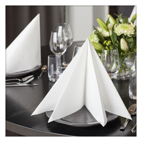 Napkins Dispensers & Accessories