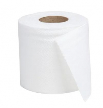 Standard Toilet Paper (Pack of 36) - SKU: RAGD751