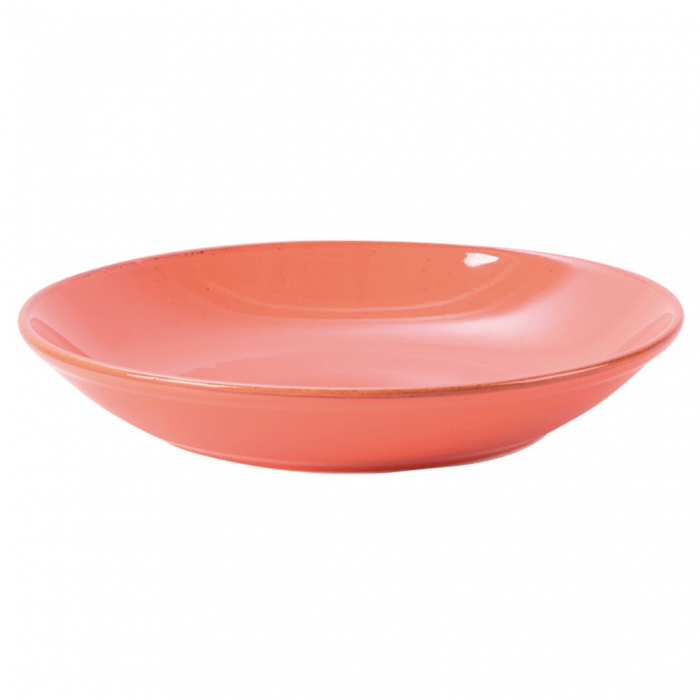 Coral Cous Cous Plate 26cm/10.25" Box of 6