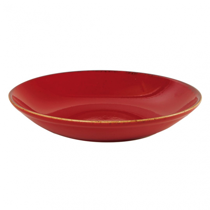 Magma Coupe Bowl 30cm Box of 6
