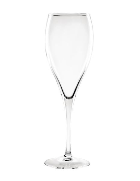 Olympia Cocktail Champagne Flutes 170ml (Pack of 12)